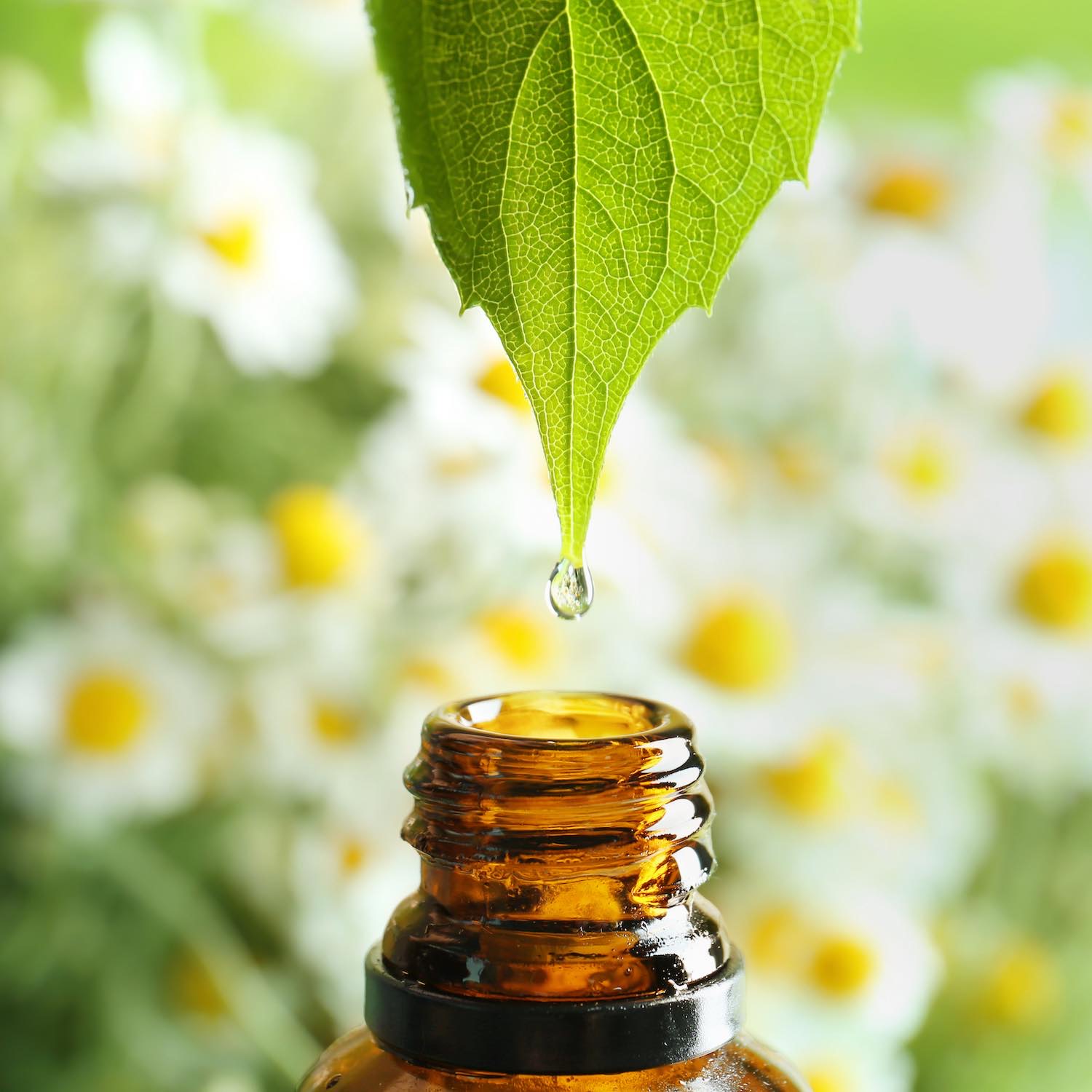 Aromathérapie huiles essentielles, Pharmacie du Beffroi à Bailleul